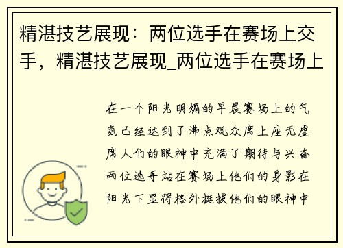 精湛技艺展现：两位选手在赛场上交手，精湛技艺展现_两位选手在赛场上交手的精彩